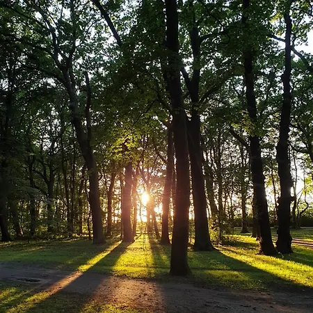 Daire Private Apartment, Aircondition, Hd Tv Pl & De, Wifi, Garage, Fully Equipped, Near