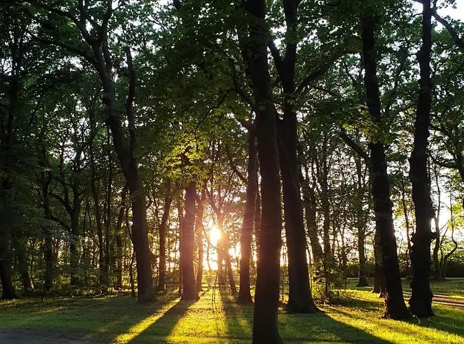 Appartement Private Apartment, Aircondition, Hd Tv Pl & De, Wifi, Garage, Fully Equipped, Near